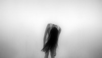 http://chatonsky.net/files/gimgs/th-241_241_06032012-img7673.jpg