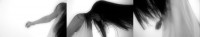 http://chatonsky.net/files/gimgs/th-241_241_franges-actions2.jpg