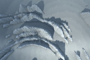 small-00011