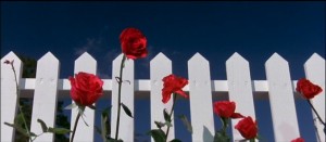 blue-velvet-david-lynch