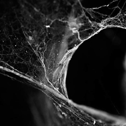 174_174_tumblrlic4ulfu4b1qdjrhjo1500