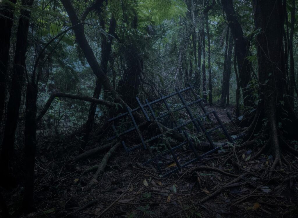 Installation artistique dans une forêt brésilienne où des structures alimentées par panneaux solaires parlent la nuit.Les voix dispersées entre les arbres dialoguent dans l'obscurité, tissant un rêve collectif sans fin jusqu'à l'aube. La machine devient forêt qui se parle à elle-même dans la solitude nocturne.Réessayer
